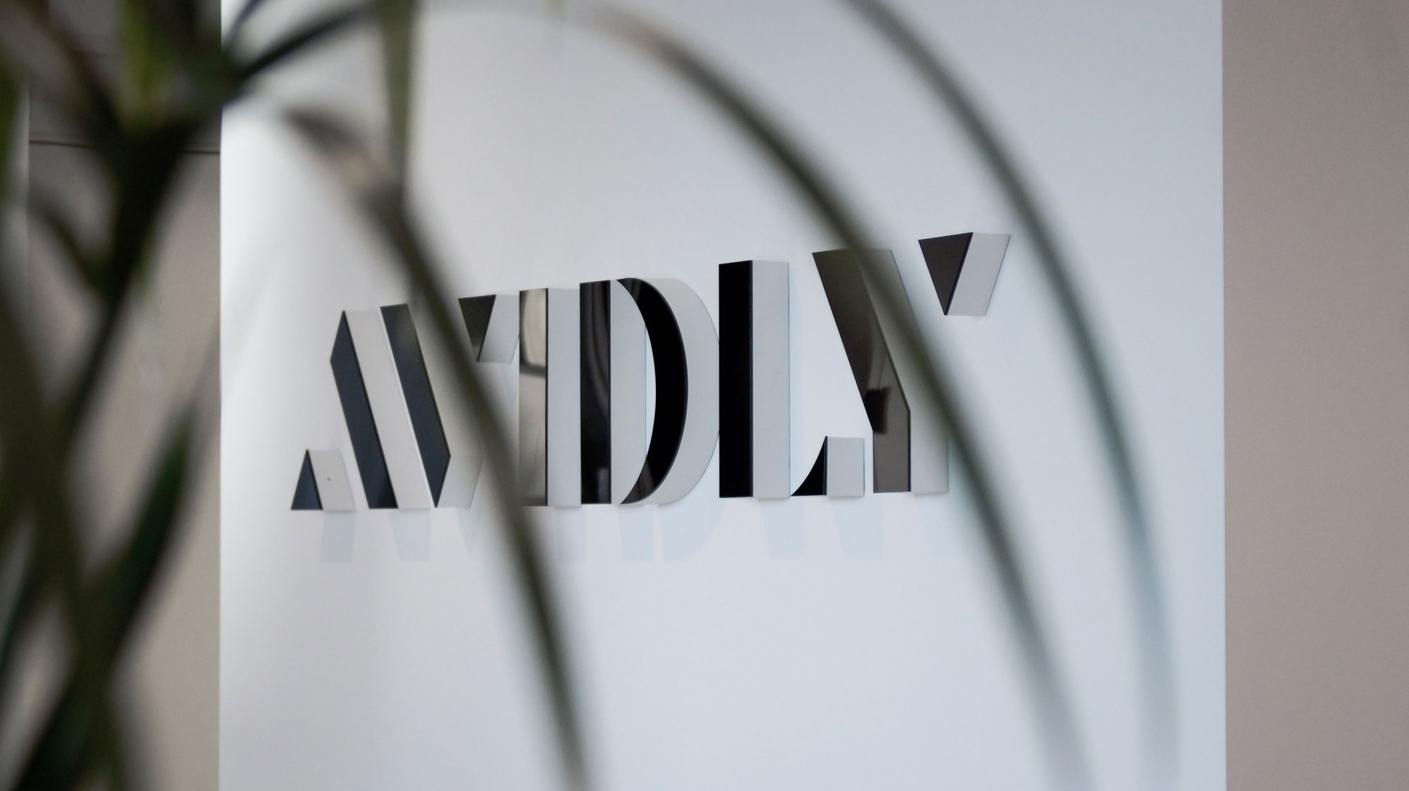 Avidly-Wandlogo