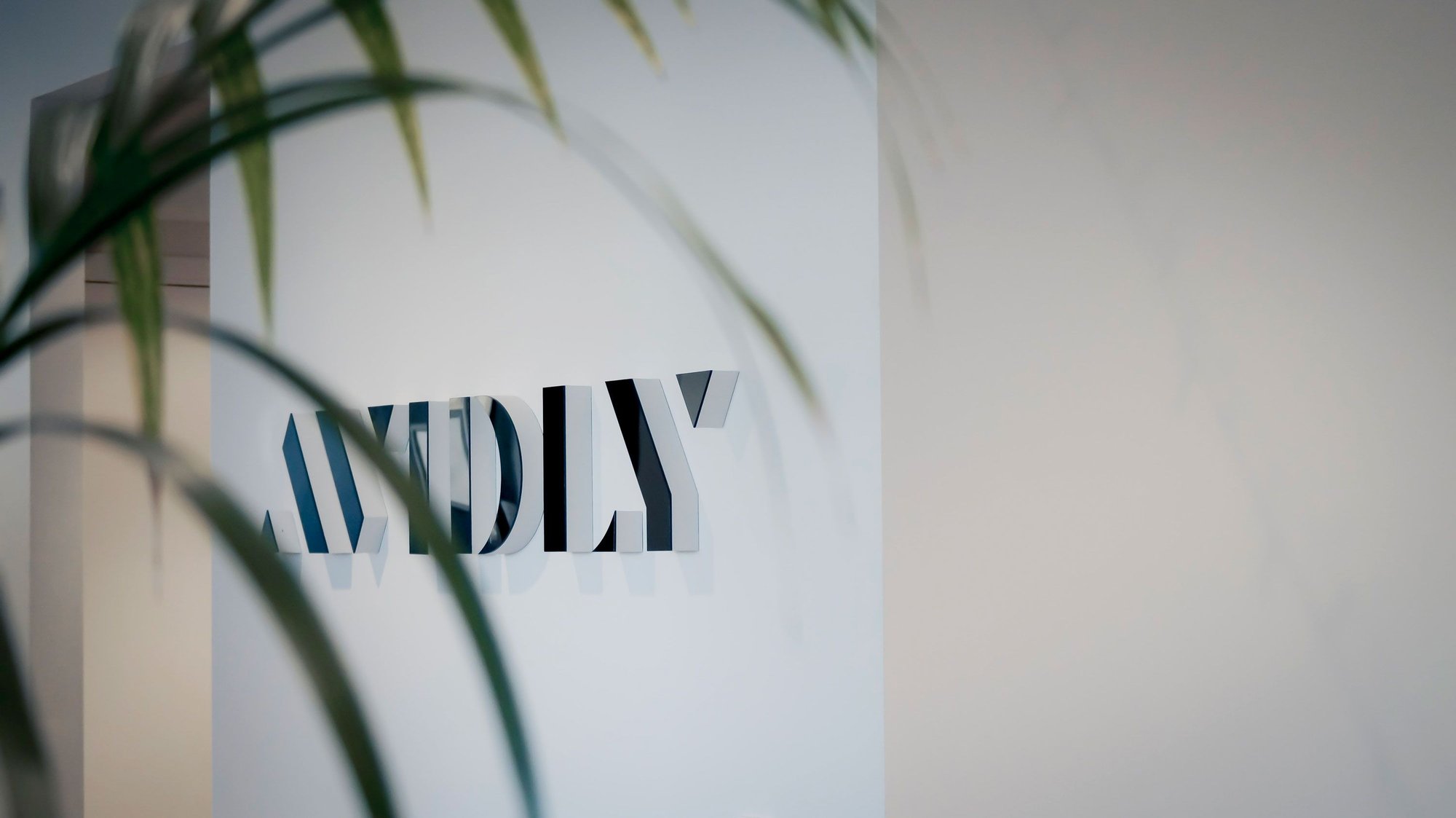 Avidly-wall-logo2