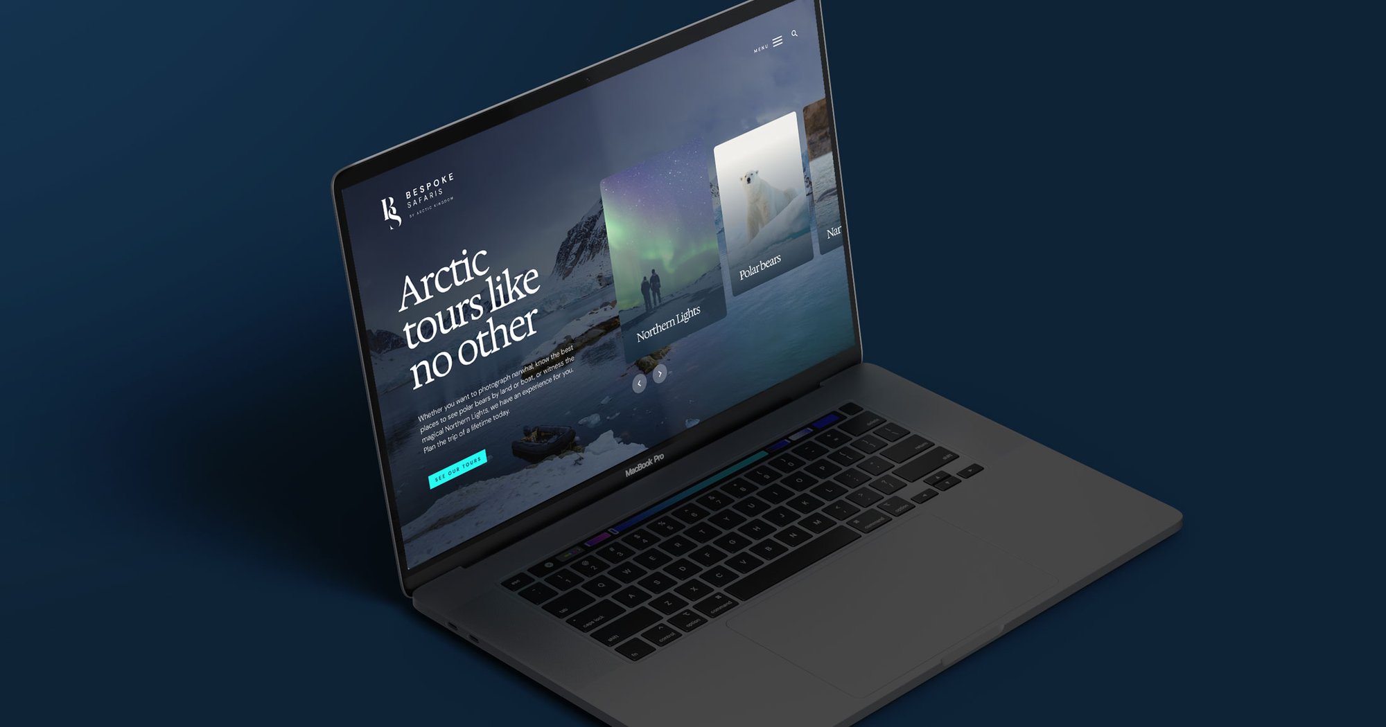 ArcticKingdom-website