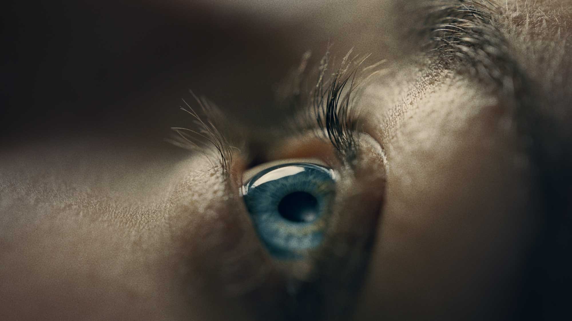 Avidly_macro__1.18.1