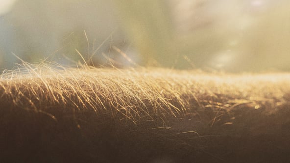 9 types of videos for B2B and how to use them in the buyer´s journey