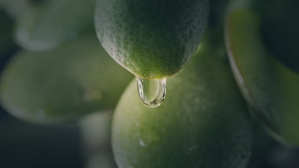 Jobs to be Done - how to reach customers' wishes and needs