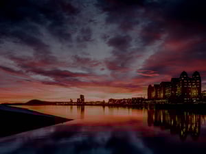 Avidly’s new strategy: International growth and strategic partnerships