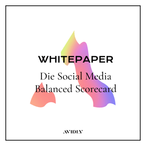 Die Social Media Balanced Scorecard - weiß