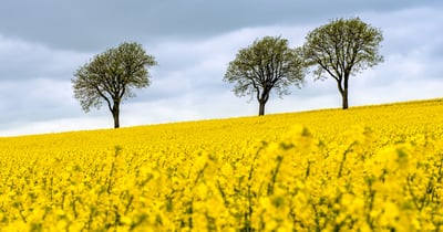 Docusign Integration, 40+ Team Trained and HubSpot Sales and Marketing Hubs Implemented