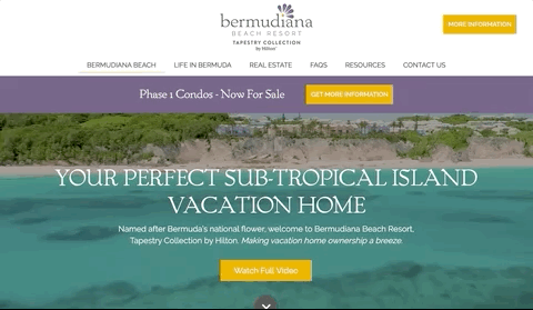 Bermudiana
