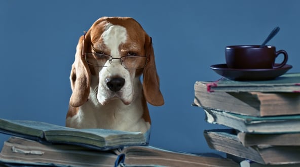 Storytelling im Content Marketing – wie Geschichten Produkte verkaufen