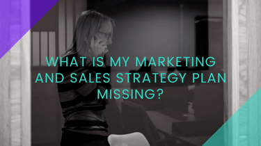 What is my marketing and sales strategy plan missing?