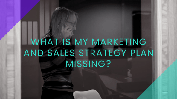 What is my marketing and sales strategy plan missing?