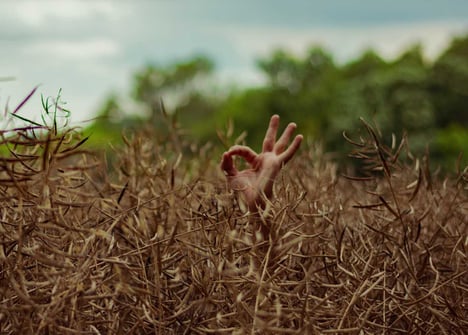 Inbound Marketing-KPIs für jede Phase der Methodik