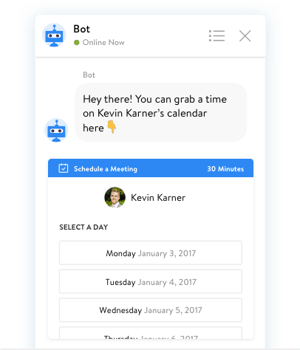 chatbot example on website