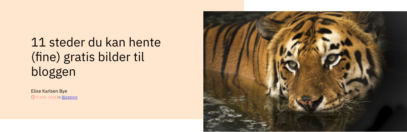 11 steder du kan hente fine gratis bilder til bloggen