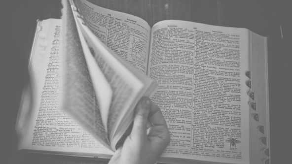 Nytt material från Avidly - ordlistan för den digitala marknadsföraren