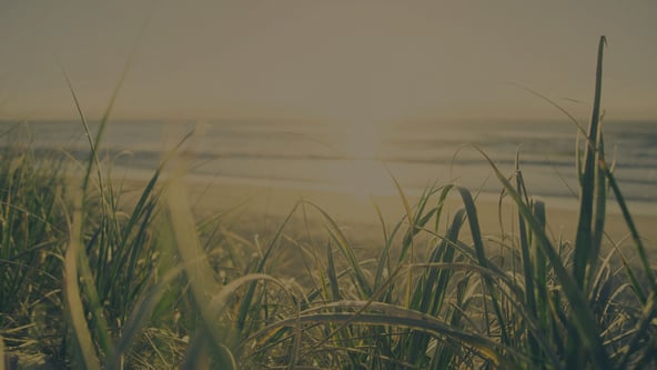 Tips på 5 bloggar inom digital marknadsföring och försäljning