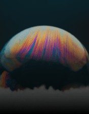 Hvad er en inbound marketing-kampagne?