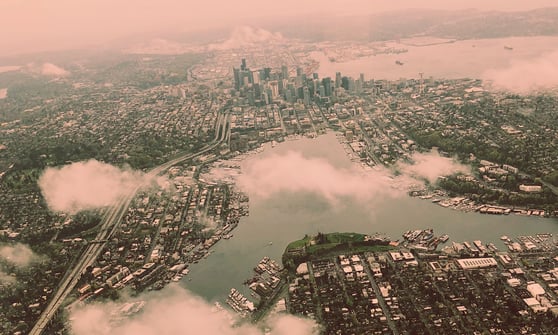 Avidly, a new Nordic marketing company, is born