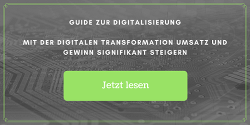 Guide zur Digitalisierung