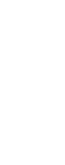 triangle strip